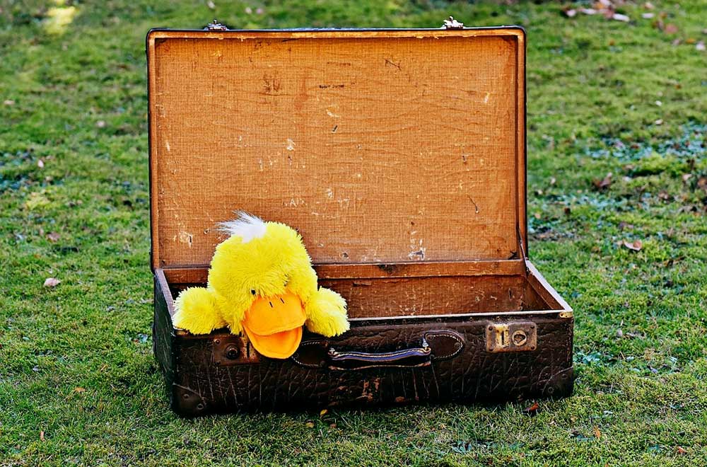Easter Basket - Stuffed yellow duck with a tuft of white hair in an open suitcase.