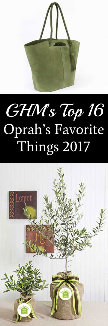 Gourmia's Frozen Dessert Maker featured on Oprah's Favorite Things