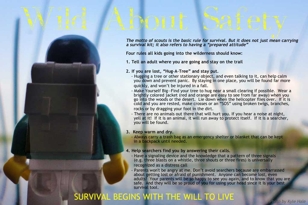 Wild About Safety Poster