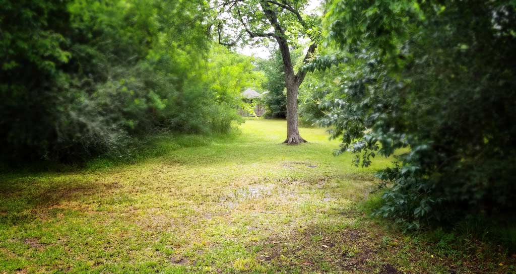 Mary Ann Francklow Park