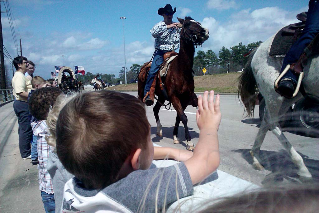 Houston Rodeo