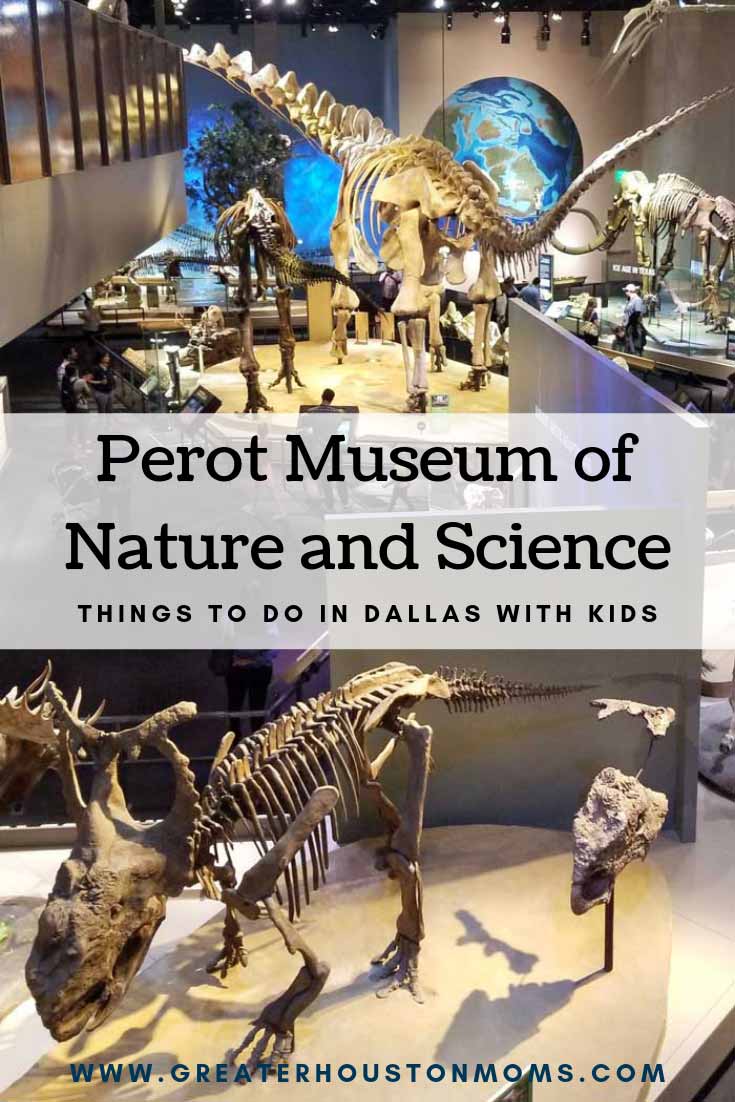 All the things you should know about the Perot Museum of Nature and Science  before you go, Things To Do