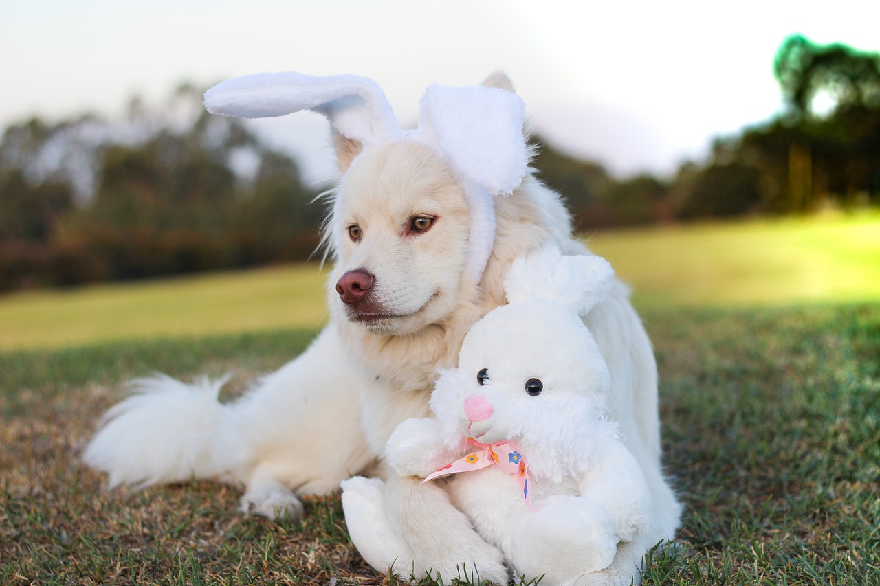 White Great Pyrenees wearing white bunny ears cuddling with a stuffed white bunny wearing a pink bow