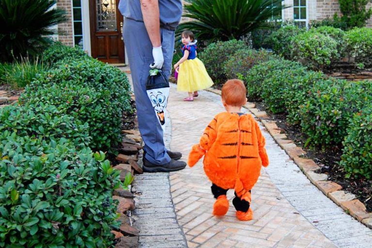 Cute and Creative DIY Halloween Costumes for Kids
