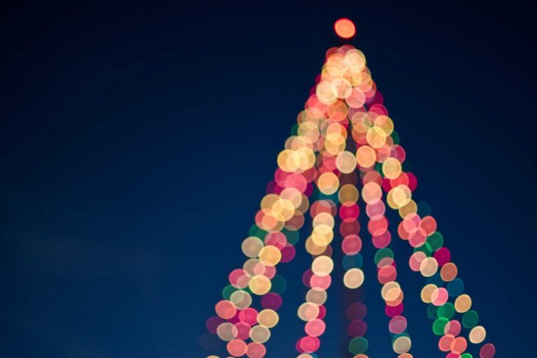 02 | Christmas Tree Lighting Celebration (Cypress)