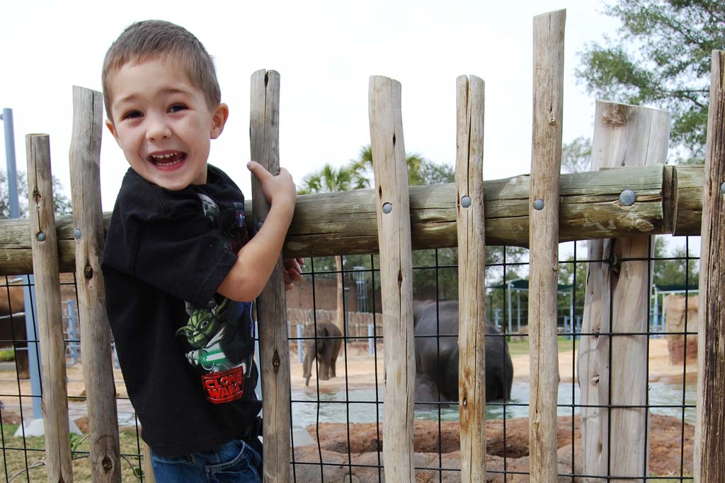 Free Things to do in Houston | Houston Zoo