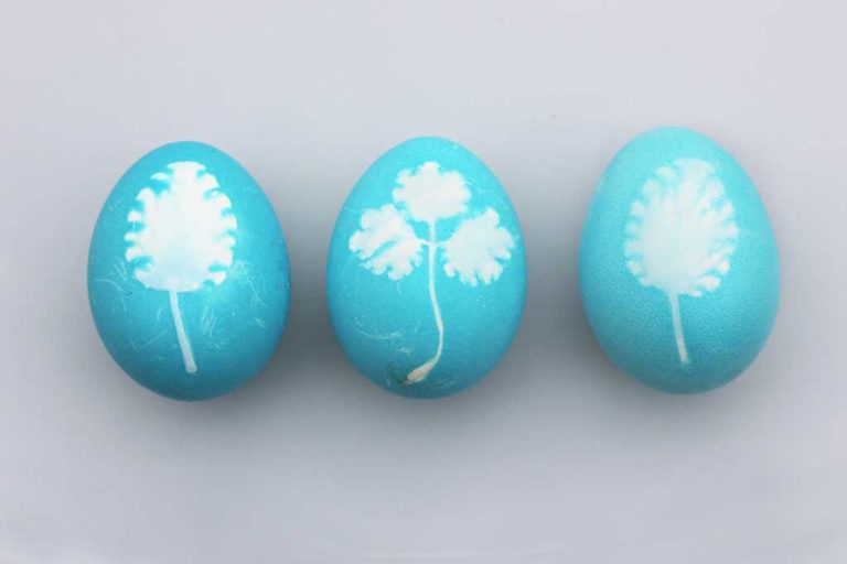 Top 10 Non-Candy Easter Basket Ideas