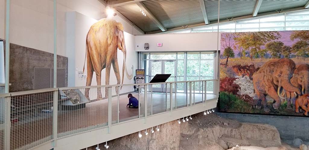 Day Trips from Houston | Waco Mammoth NHS