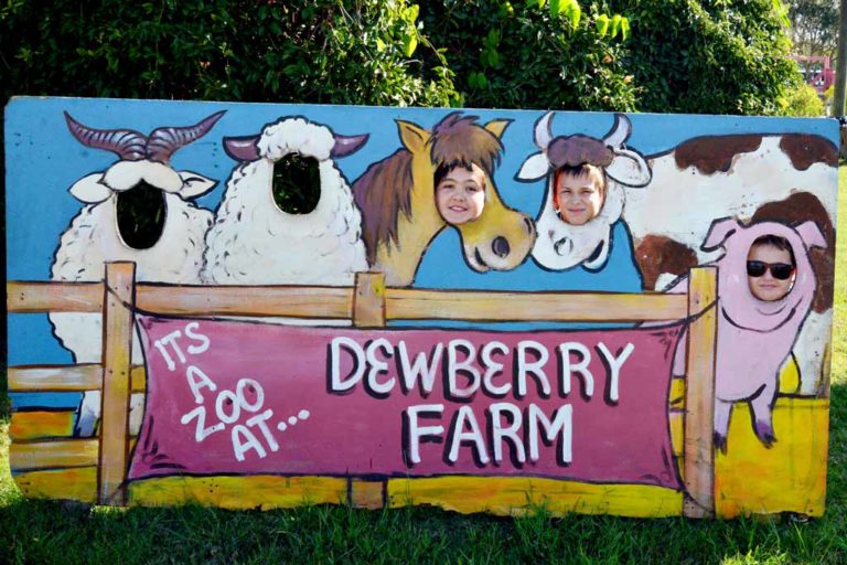 Dewberry Farm: Fall Farm Fun!