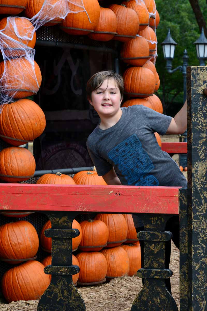 This-Week-in-Houston--- October 28 - November 3 Keller Botanical Gardens Halloween Pumpkin