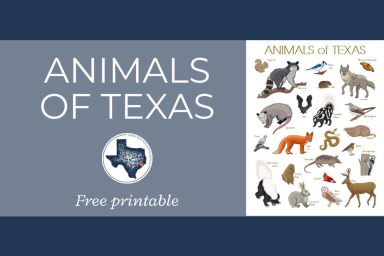 Beautiful ‘Animals of Texas’ Printable FREE for You!