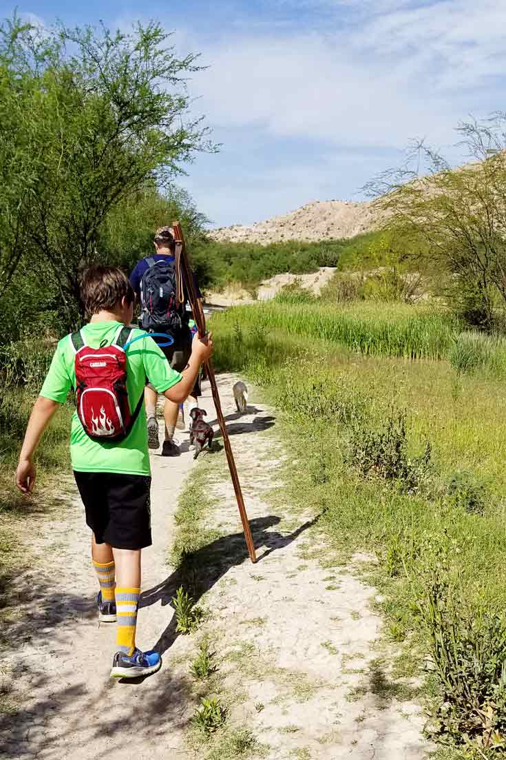 Puppies at Boquillas Canyon