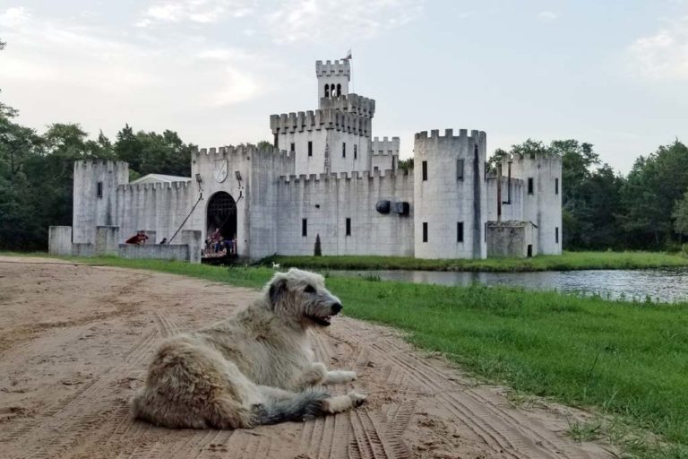 Sleeping in a Castle in Texas (Yes, You Can Stay Here!)