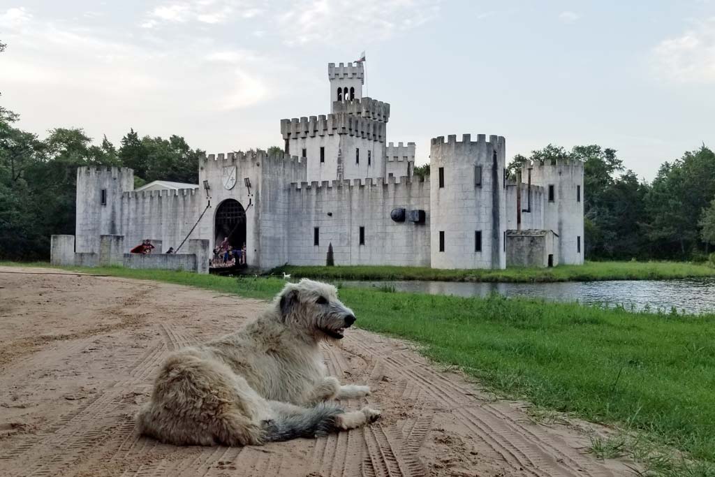 Day Trips from Houston | Newman's Castle