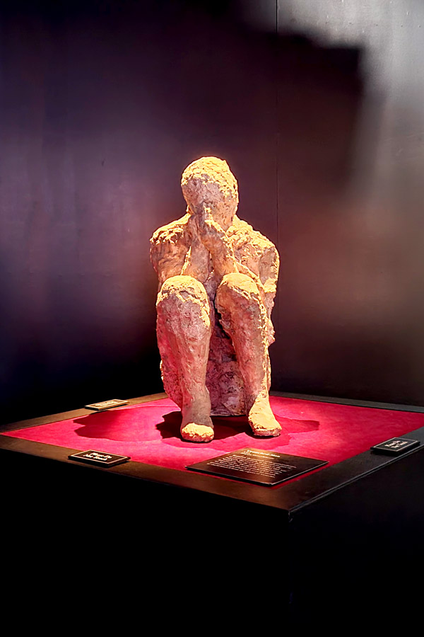 Houston Museum of Natural Science 'Pompeii' Exhibition is an Explosive