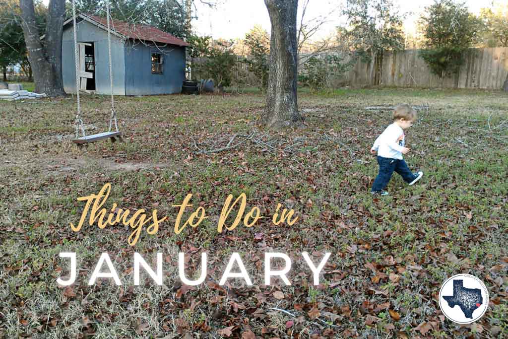 Things to do in Houston in January!