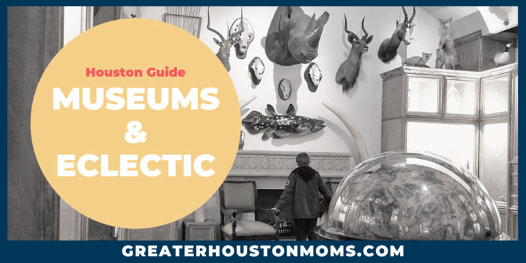 Houston Museums & Eclectic