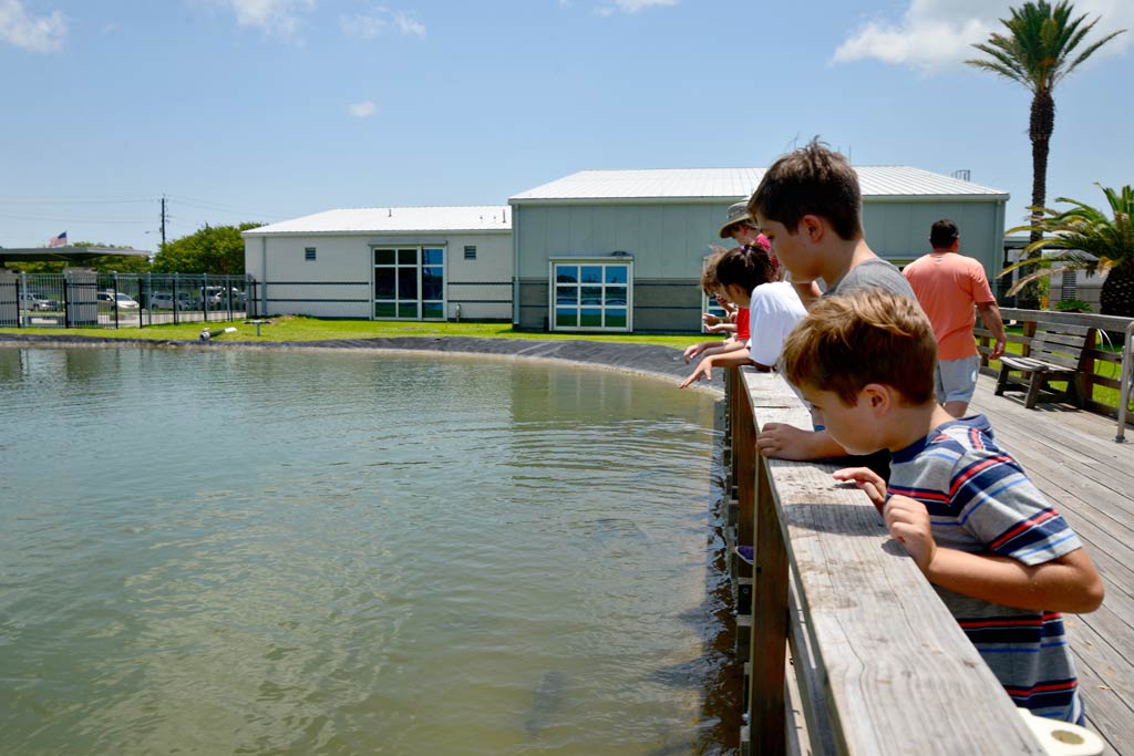 Day Trips from Houston | Sea Center Texas