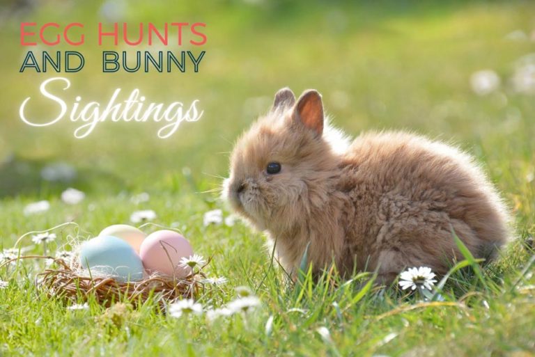 Houston Easter Egg Hunts and Bunny Sightings!