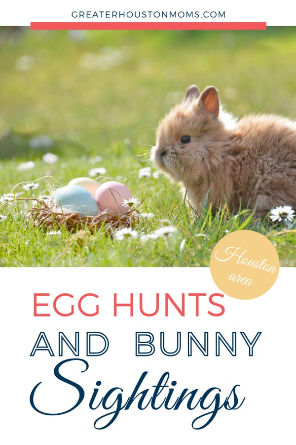 Houston Easter Egg Hunts and Bunny Sightings