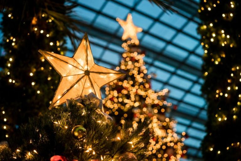 12 | Jingle Tree Holiday Photoshoot at HMNS Sugar Land