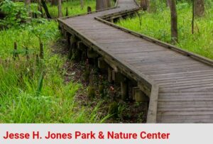 13-15 | Arbor Day Celebration at Jesse H. Jones Park