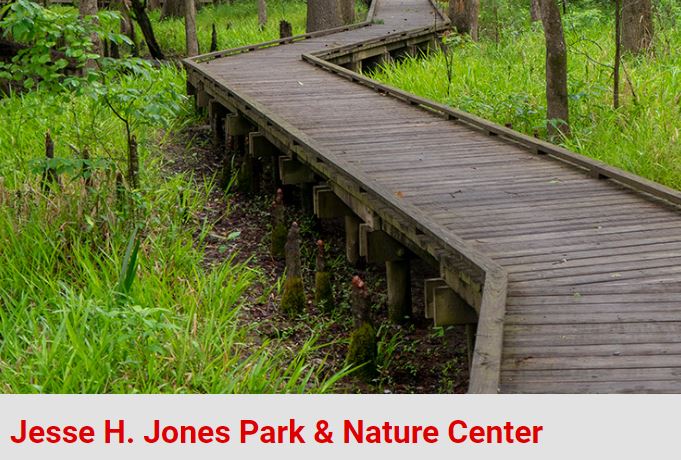 04 | NatureFest at Jesse H. Jones Park