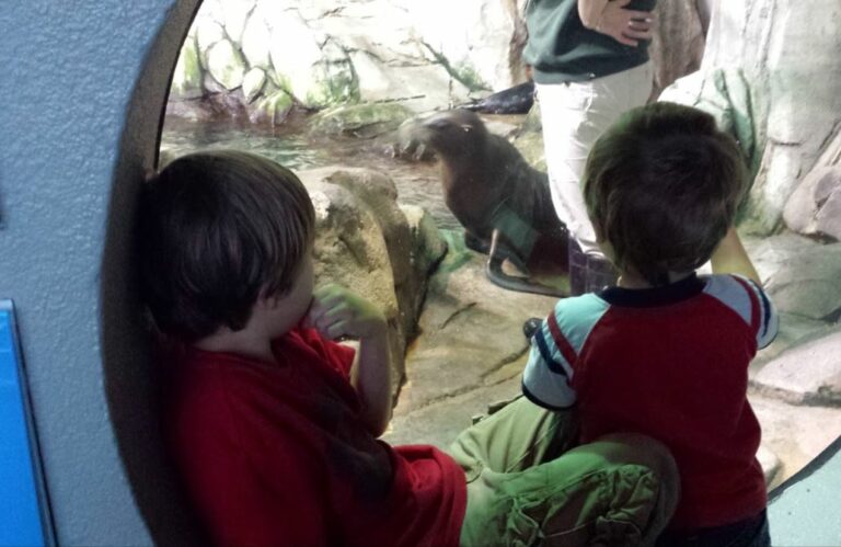 07 | Learn Wild! Home School at Moody Gardens – Otter-ly Fantastic: Roaming with River Otters