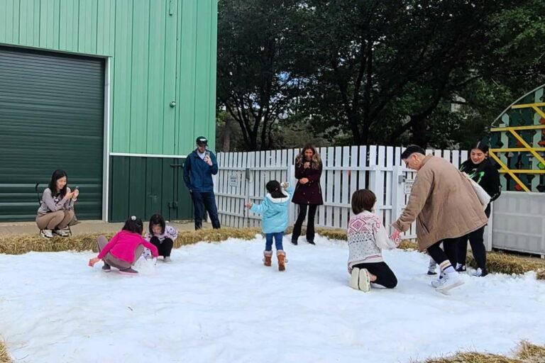 16-29 | Polar Palooza Snow Days! at the Children’s Museum Houston