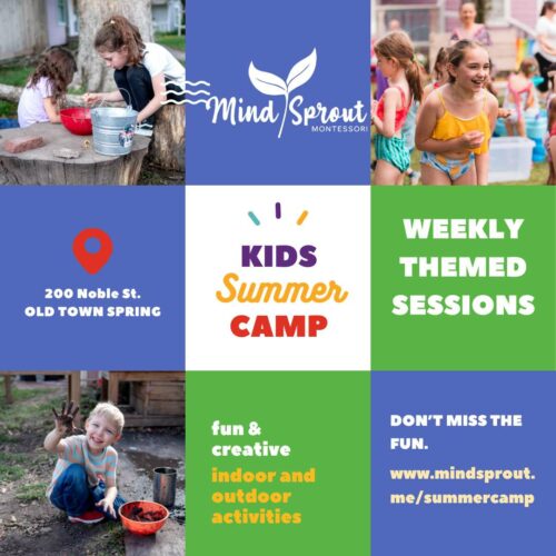 MindSprout Montessori Summer Camp Greater Houston Moms