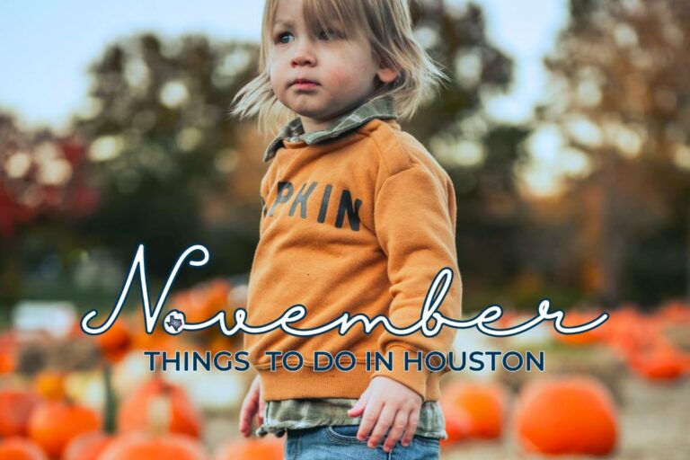 November 2024 | Things To Do In Houston – Free & Affordable