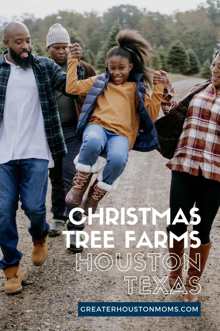 Christmas Tree Farms in Houston