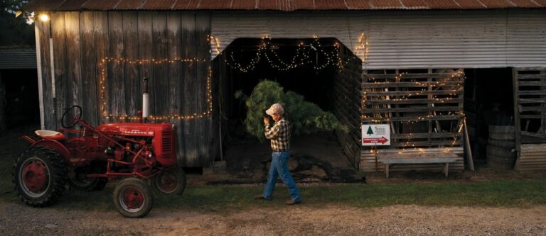 18 | Spring Creek Growers Christmas Tree Farm Opens (Spring)