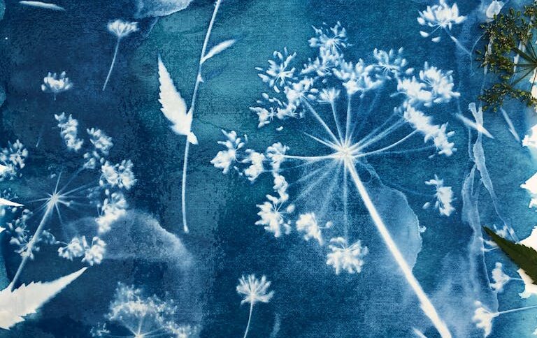 White and Blue Flower Painting
